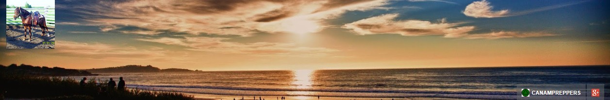 ScreenHunter_09 May. 09 00.07